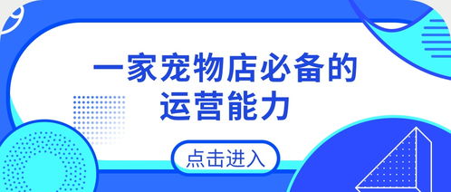 寵物店與酒店管理的跨界融合 必備運(yùn)營(yíng)能力解析